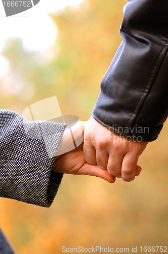 Image of Hand-in-hand