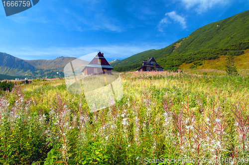 Image of Mountains landscape