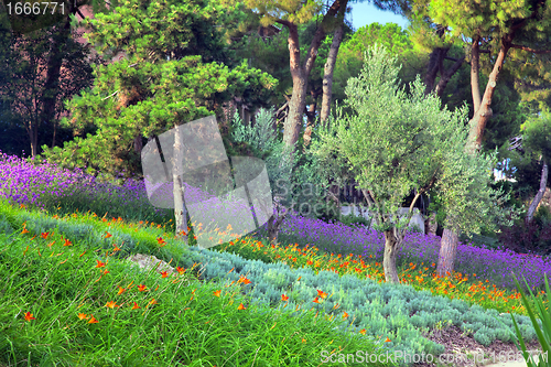 Image of Colorful park with flowers