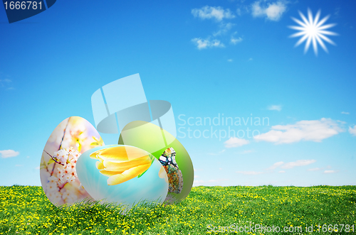 Image of Colorful easter eggs in nature