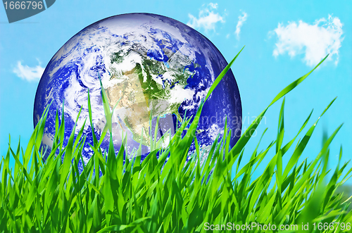 Image of Earth globe in green grass