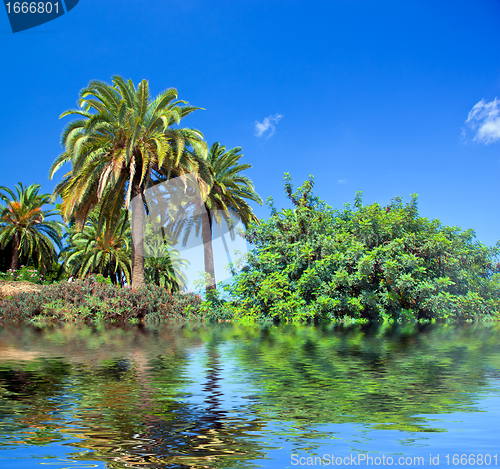 Image of Tropical exotic jungle and water