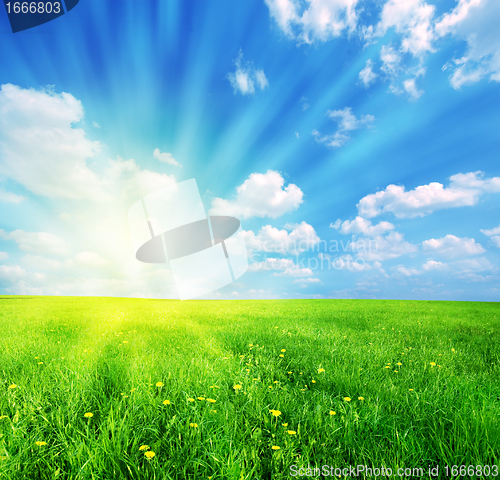Image of Sunny spring landscape