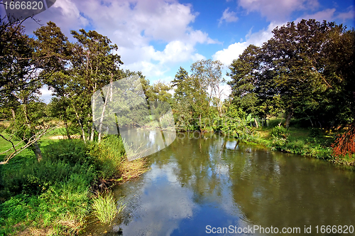 Image of Summer landscape