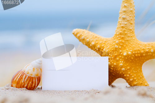 Image of Shells and a blank card on the beach