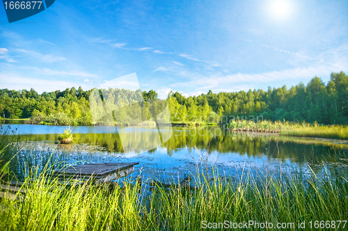 Image of Tranquil lake in the forest