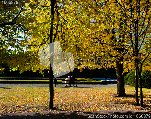 Image of Colorful fall autumn park