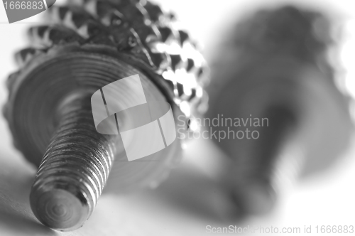 Image of Screw