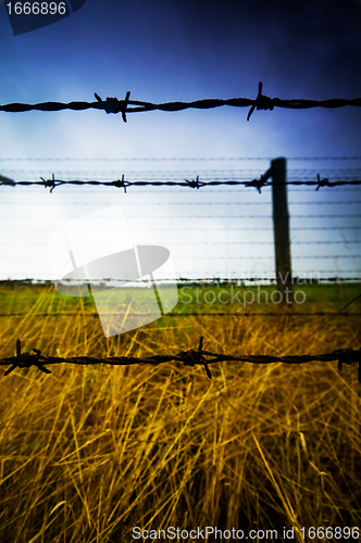 Image of Barbed wire fence to prison
