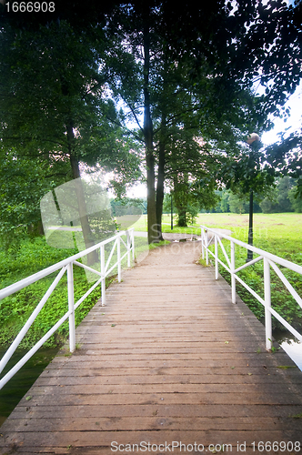 Image of Bridge in charming park