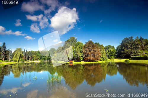 Image of Colorful autumn summer park