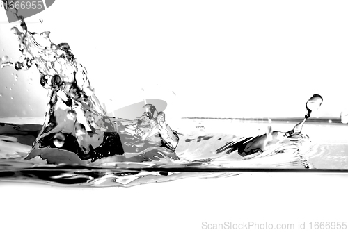 Image of Fresh water splash