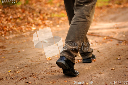 Image of Steps to happy autumn