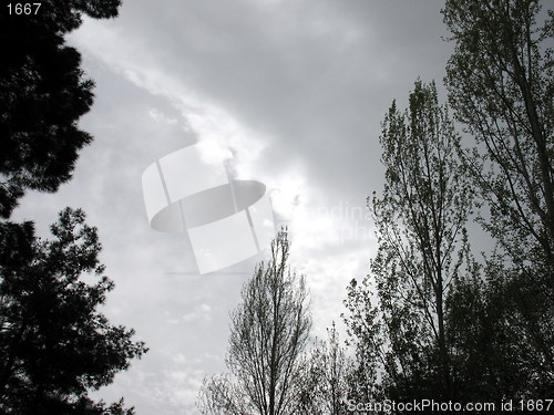 Image of Cloudy trees. Cyprus