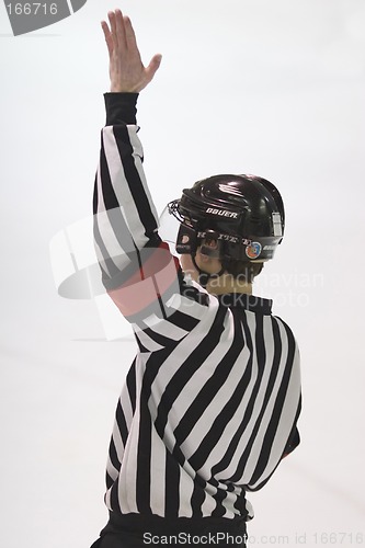 Image of Hockey referee