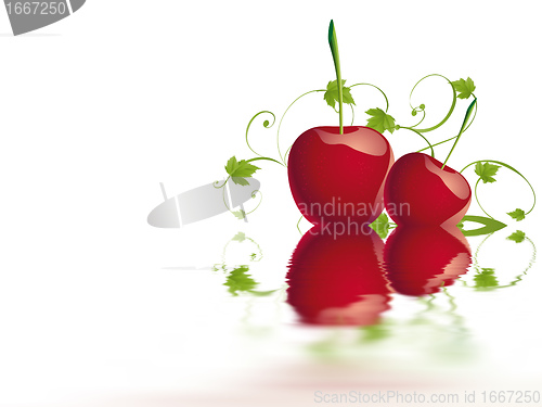 Image of cherry