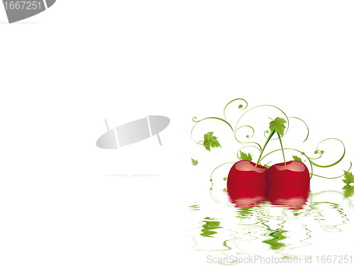 Image of cherry