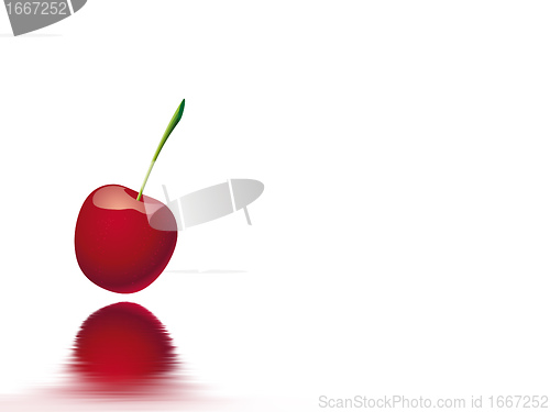 Image of cherry