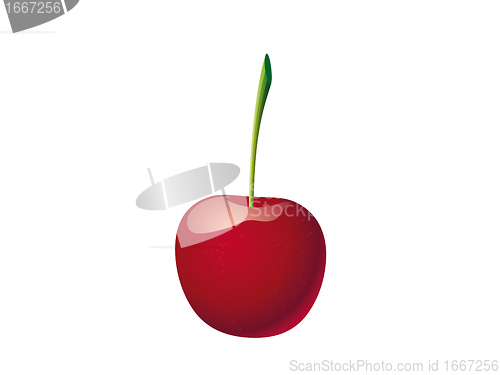 Image of cherry