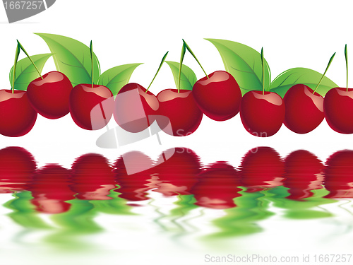 Image of cherry