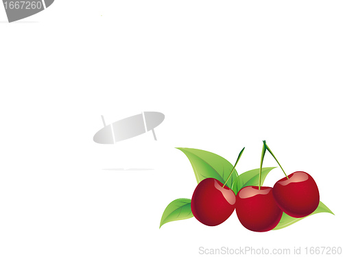Image of cherry