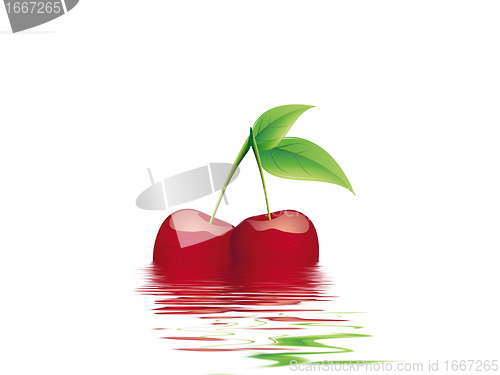 Image of cherry