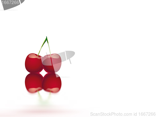 Image of cherry