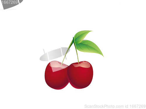 Image of cherry