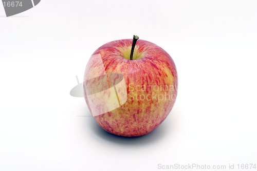 Image of Isolated Apple