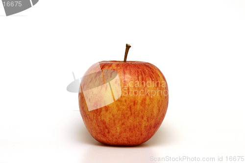 Image of Isolated Apple