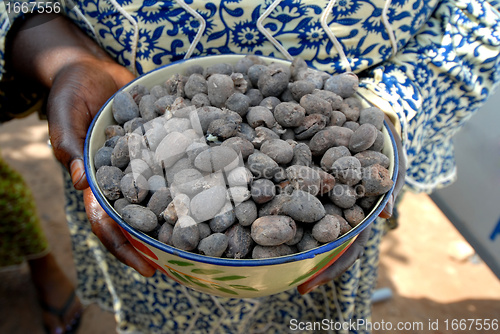 Image of shea butter nut