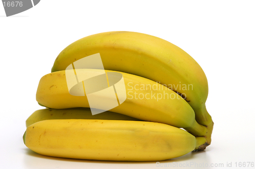 Image of Bunch of Bananas