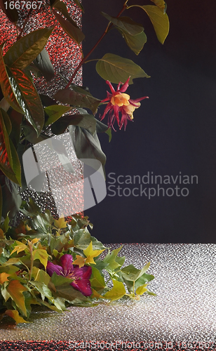 Image of decorative ambiance