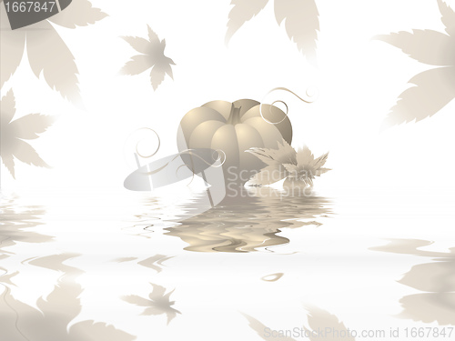 Image of 8ujikj8