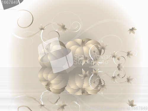 Image of zz7ijz7