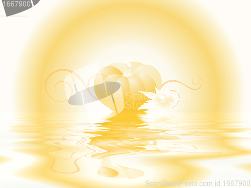 Image of 8777o9