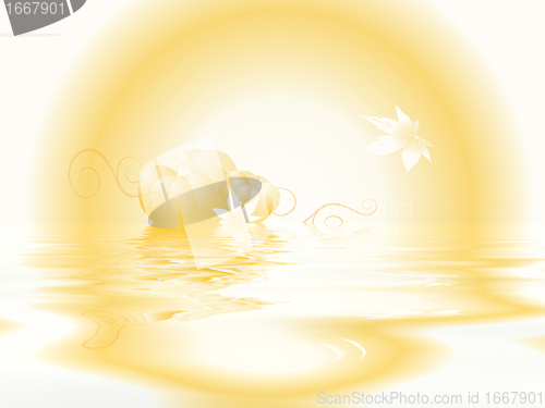 Image of i9uolu89
