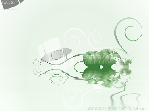 Image of thtz