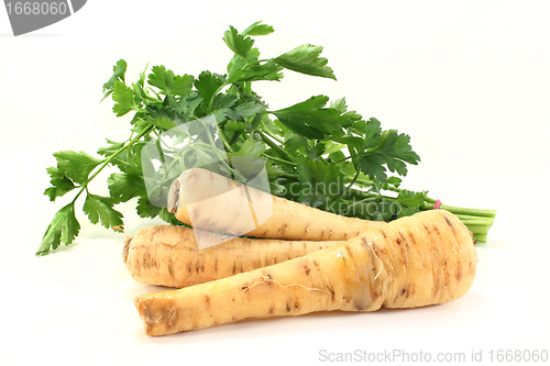 Image of parsnips