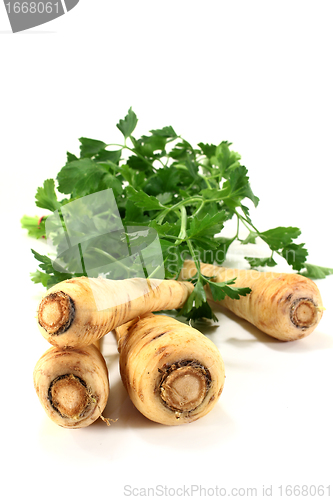 Image of parsnips