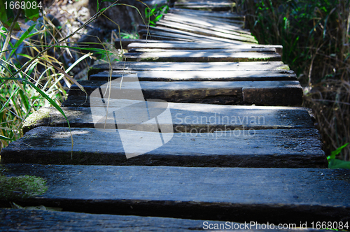 Image of Old Wodden Bridge