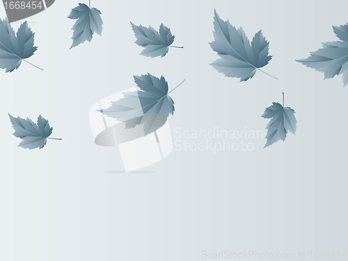 Image of leaf