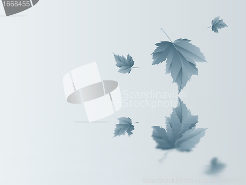 Image of leaf