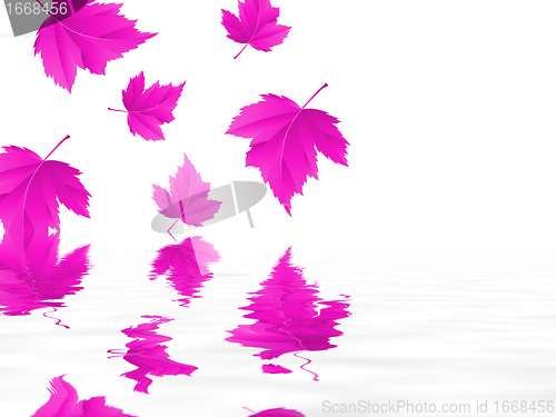 Image of leaf
