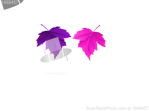 Image of leaf