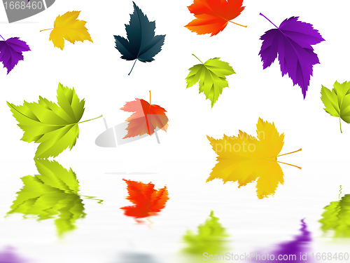 Image of leaf