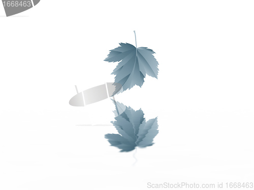 Image of leaf
