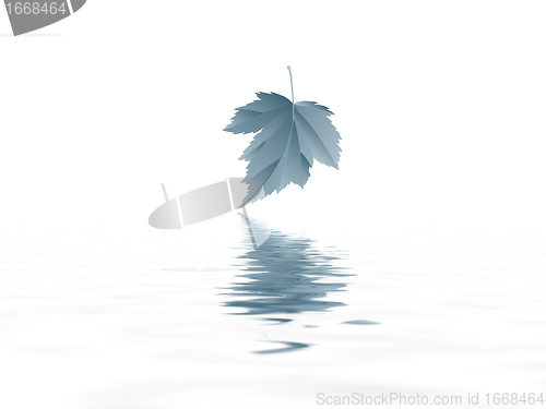 Image of leaf
