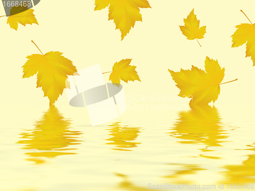 Image of leaf
