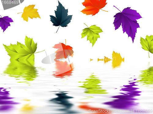 Image of leaf